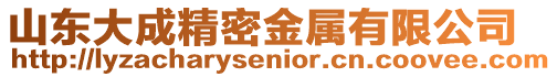 山東大成精密金屬有限公司