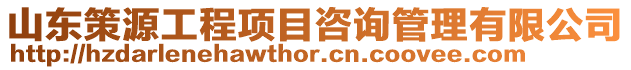 山東策源工程項(xiàng)目咨詢管理有限公司