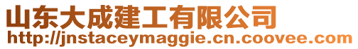 山東大成建工有限公司