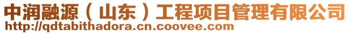 中潤融源(山東)工程項目管理有限公司