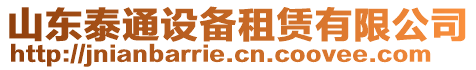 山東泰通設備租賃有限公司