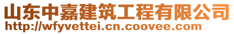 山東中嘉建筑工程有限公司