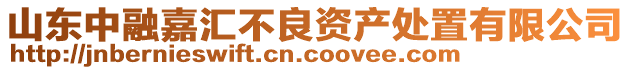 山東中融嘉匯不良資產處置有限公司