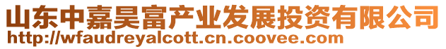 山東中嘉昊富產(chǎn)業(yè)發(fā)展投資有限公司