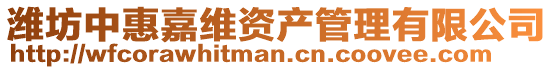 濰坊中惠嘉維資產管理有限公司