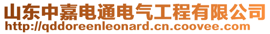 山東中嘉電通電氣工程有限公司