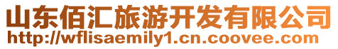 山東佰匯旅游開發有限公司