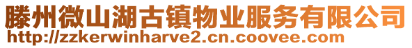 滕州微山湖古鎮(zhèn)物業(yè)服務(wù)有限公司