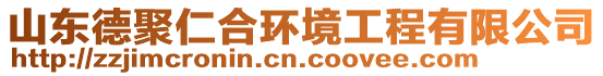 山東德聚仁合環(huán)境工程有限公司