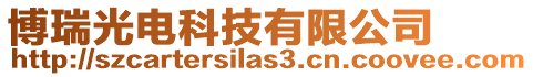 博瑞光電科技有限公司