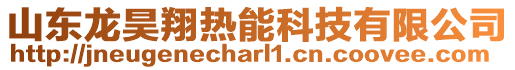 山東龍昊翔熱能科技有限公司
