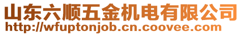 山東六順五金機電有限公司
