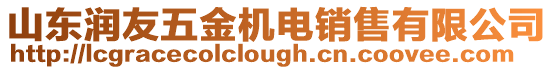 山東潤友五金機電銷售有限公司