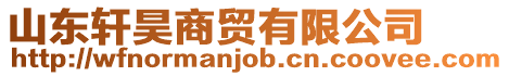 山東軒昊商貿(mào)有限公司
