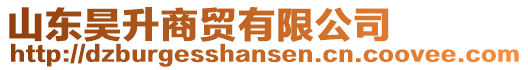 山東昊升商貿有限公司