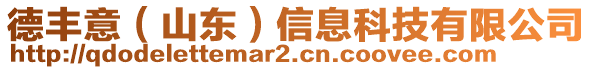 德豐意(山東)信息科技有限公司