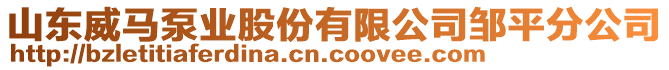 山東威馬泵業(yè)股份有限公司鄒平分公司