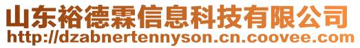 山東裕德霖信息科技有限公司