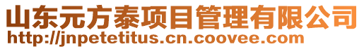 山東元方泰項目管理有限公司