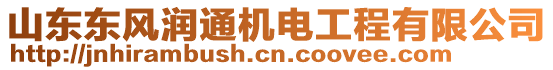 山東東風(fēng)潤(rùn)通機(jī)電工程有限公司