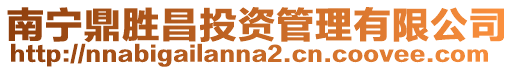 南寧鼎勝昌投資管理有限公司