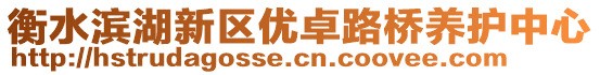 衡水濱湖新區(qū)優(yōu)卓路橋養(yǎng)護中心