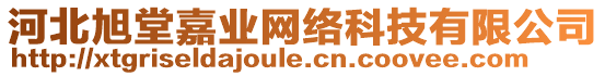 河北旭堂嘉業(yè)網(wǎng)絡(luò)科技有限公司