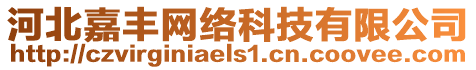 河北嘉豐網(wǎng)絡(luò)科技有限公司