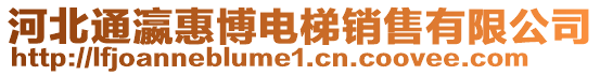 河北通瀛惠博電梯銷售有限公司