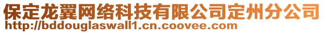 保定龍翼網(wǎng)絡(luò)科技有限公司定州分公司