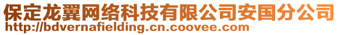 保定龍翼網(wǎng)絡(luò)科技有限公司安國分公司