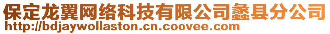 保定龍翼網(wǎng)絡(luò)科技有限公司蠡縣分公司