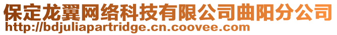 保定龍翼網(wǎng)絡(luò)科技有限公司曲陽分公司