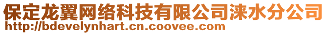 保定龍翼網(wǎng)絡(luò)科技有限公司淶水分公司