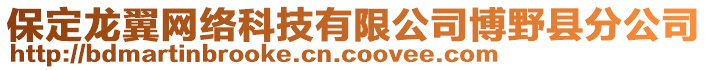 保定龍翼網(wǎng)絡(luò)科技有限公司博野縣分公司