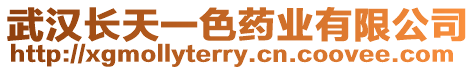 武漢長天一色藥業有限公司