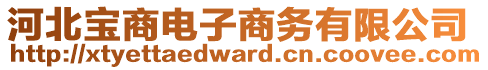 河北寶商電子商務有限公司