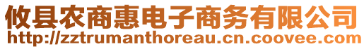 攸縣農(nóng)商惠電子商務(wù)有限公司