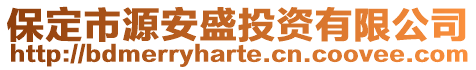 保定市源安盛投資有限公司