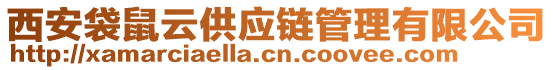 西安袋鼠云供應鏈管理有限公司