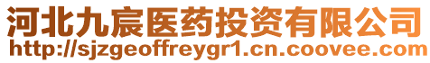 河北九宸醫(yī)藥投資有限公司