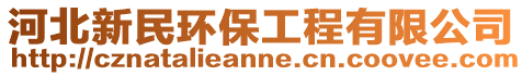 河北新民環(huán)保工程有限公司