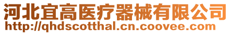 河北宜高醫(yī)療器械有限公司
