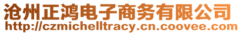 滄州正鴻電子商務有限公司