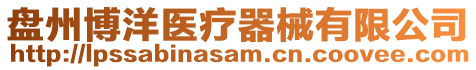 盤(pán)州博洋醫(yī)療器械有限公司