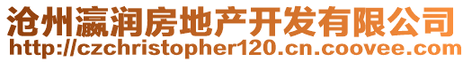 滄州瀛潤(rùn)房地產(chǎn)開(kāi)發(fā)有限公司