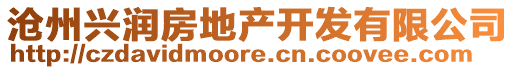 滄州興潤(rùn)房地產(chǎn)開(kāi)發(fā)有限公司