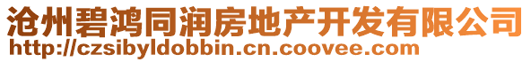 滄州碧鴻同潤房地產(chǎn)開發(fā)有限公司