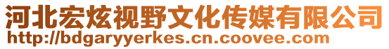 河北宏炫視野文化傳媒有限公司