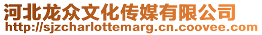 河北龍眾文化傳媒有限公司